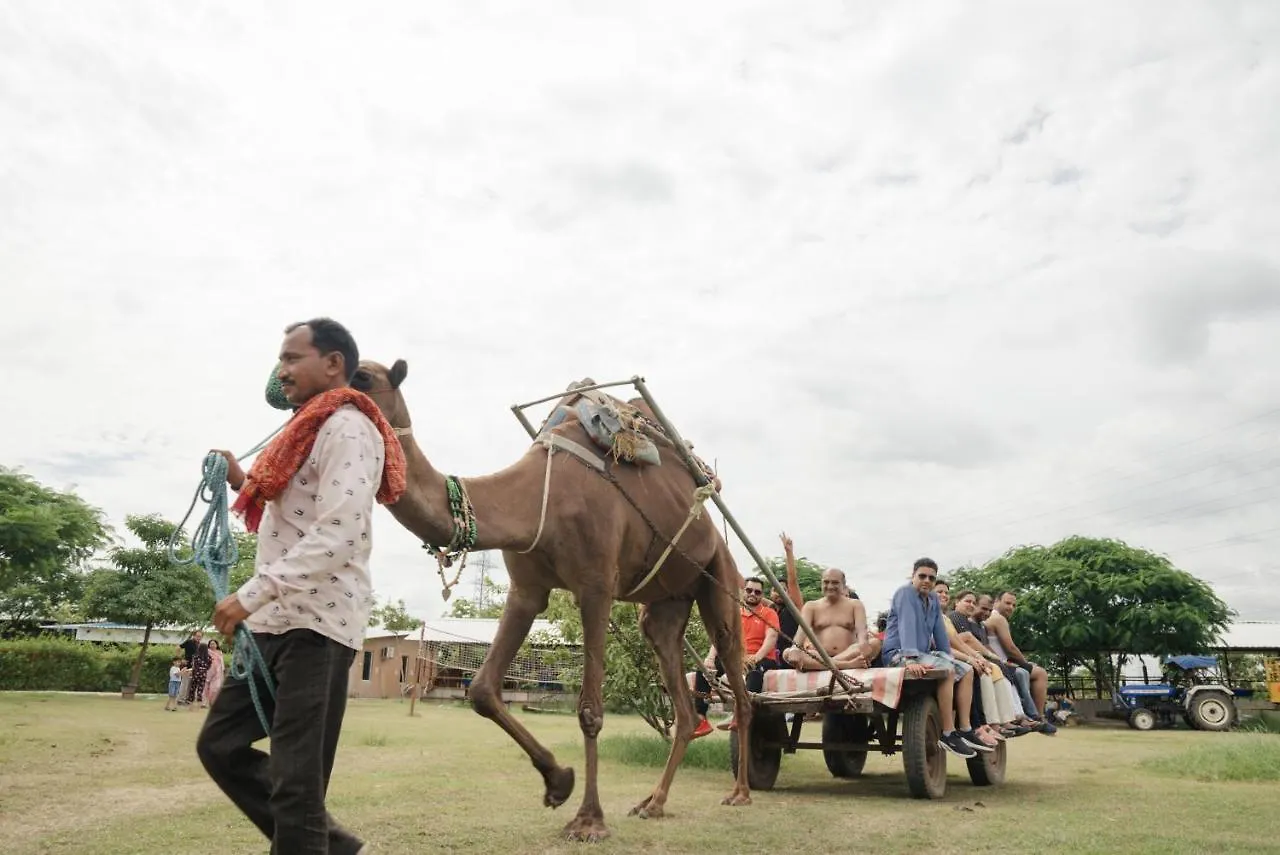 Madhavgarh Farm & Resort Gurgaon Farm stay